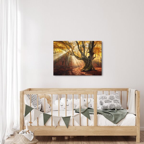Obraz - Podzimní svit (70x50 cm)