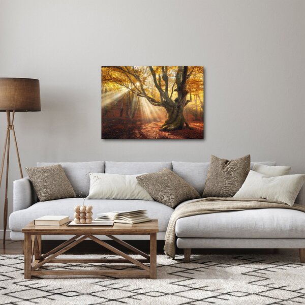 Obraz - Podzimní svit (70x50 cm)