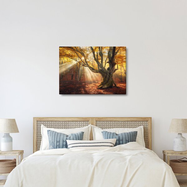 Obraz - Podzimní svit (70x50 cm)