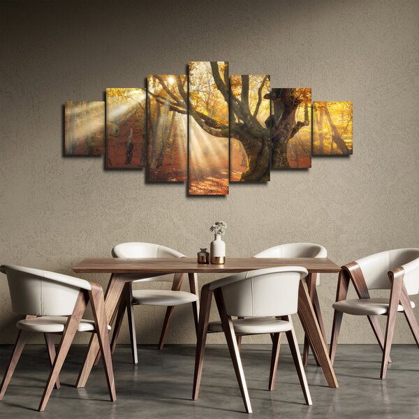 Obraz - Podzimní svit (210x100 cm)