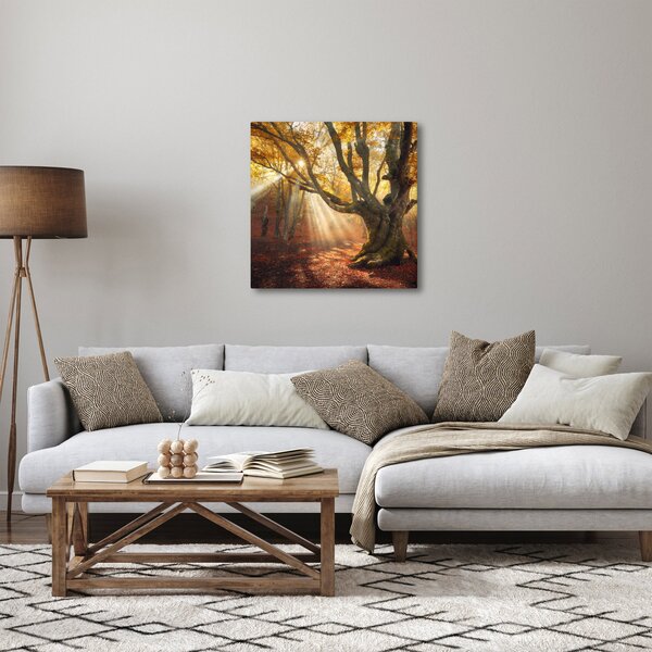 Obraz - Podzimní svit (30x30 cm)