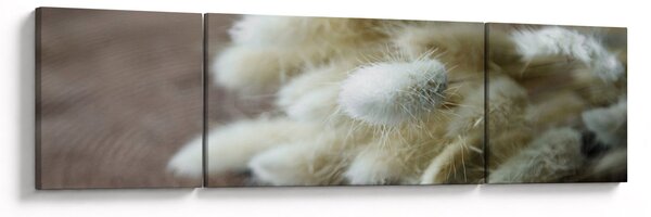 Obraz - Zaječí ocásek (170x50 cm)