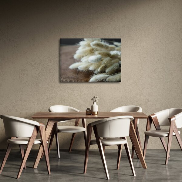 Obraz - Zaječí ocásek (70x50 cm)