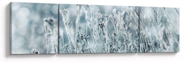 Obraz - Kouzlo zimy (170x50 cm)