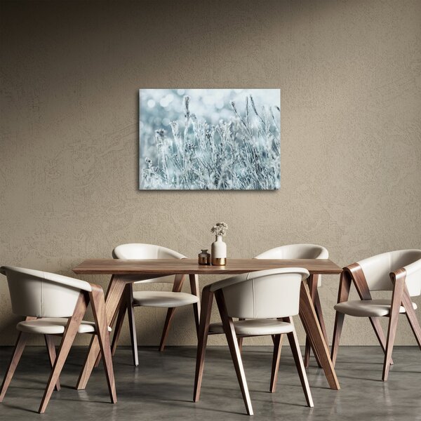 Obraz - Kouzlo zimy (70x50 cm)