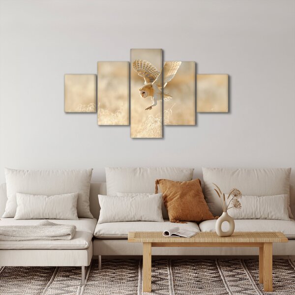 Obraz - Sova (125x70 cm)