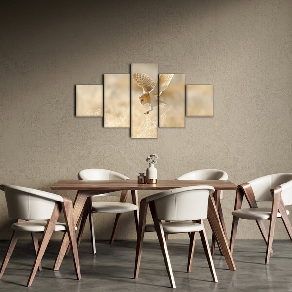 Obraz - Sova (125x70 cm)
