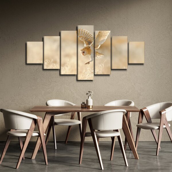 Obraz - Sova (210x100 cm)