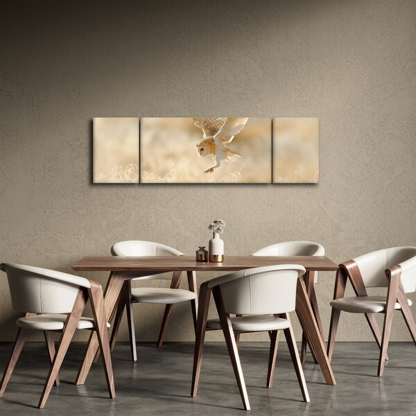 Obraz - Sova (170x50 cm)