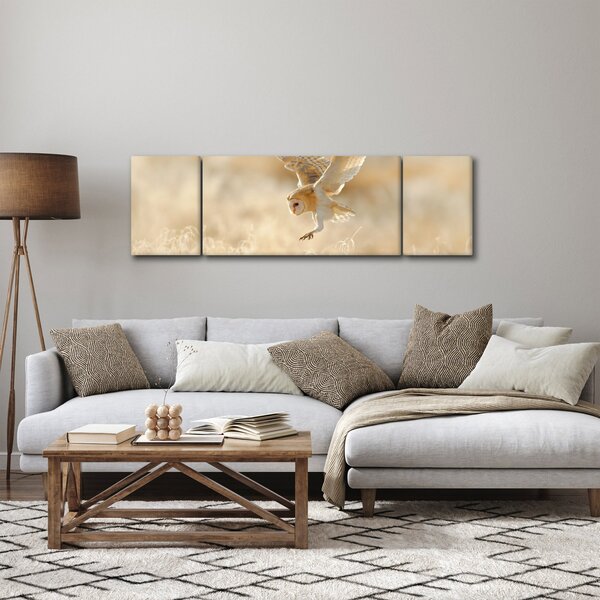 Obraz - Sova (170x50 cm)