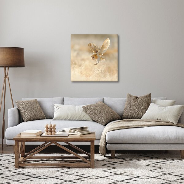 Obraz - Sova (30x30 cm)