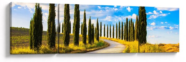 Obraz - Krajina (170x50 cm)