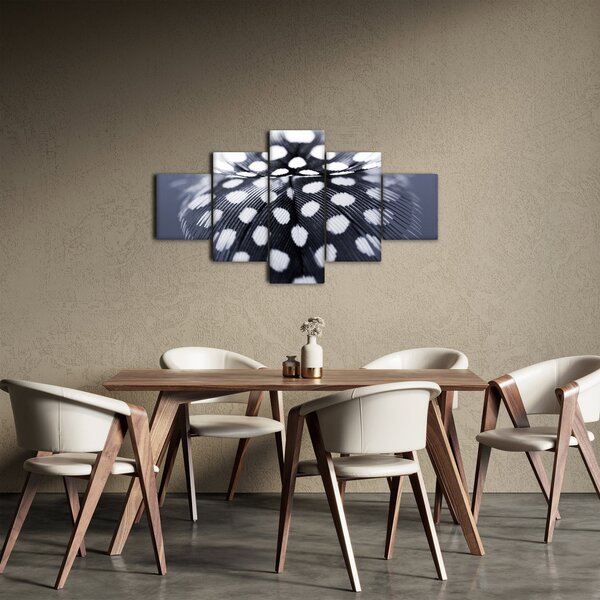 Obraz - Pírko (125x70 cm)