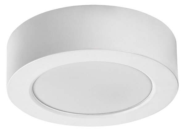 Rabalux SHAUN PLUS LED venkovní stropní svítidlo 75071