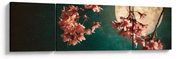 Obraz - Sakura v úplňku (170x50 cm)