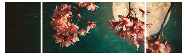 Obraz - Sakura v úplňku (170x50 cm)