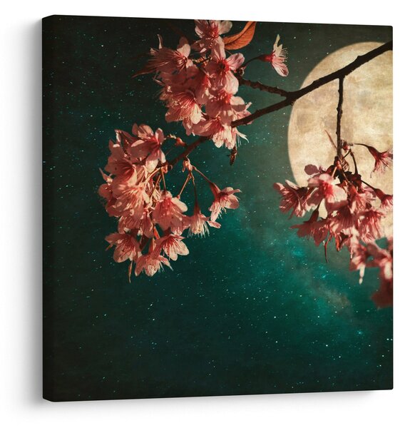 Obraz - Sakura v úplňku (30x30 cm)