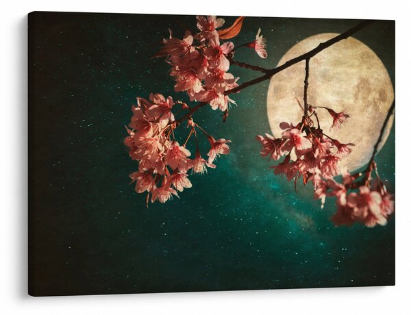 Obraz - Sakura v úplňku (70x50 cm)