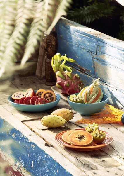 Le Creuset 70202270607080 Jídelní talíř 27 cm višňový