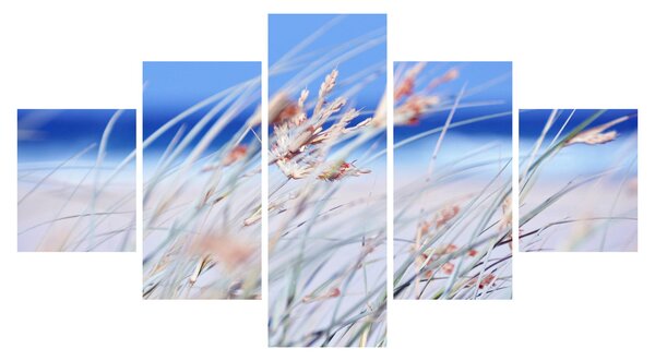 Obraz - Vánek (125x70 cm)