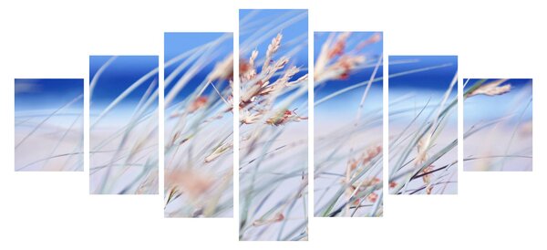 Obraz - Vánek (210x100 cm)