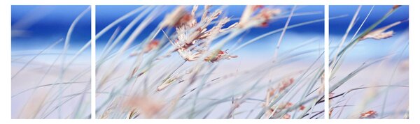 Obraz - Vánek (170x50 cm)