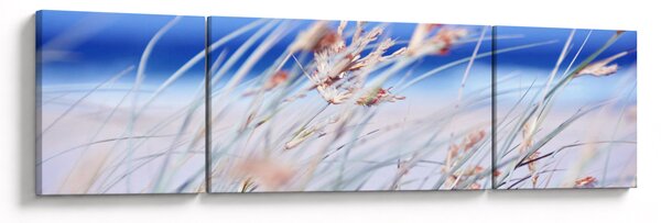 Obraz - Vánek (170x50 cm)