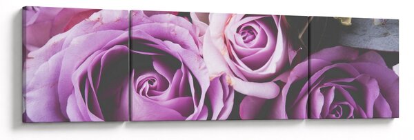 Obraz - Růžičky (170x50 cm)