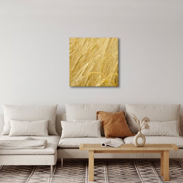Obraz - Ječmen (30x30 cm)