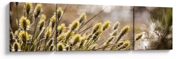 Obraz - Zeleň (170x50 cm)