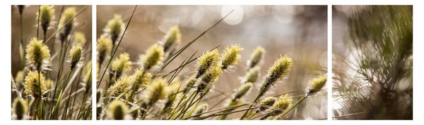 Obraz - Zeleň (170x50 cm)