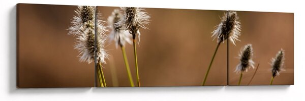 Obraz - Travina (170x50 cm)