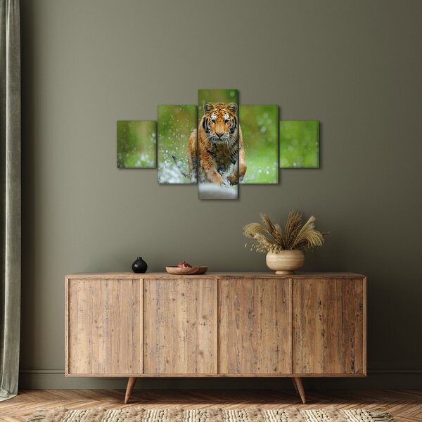 Obraz - Běžící tygr (125x70 cm)