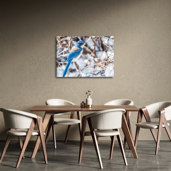 Obraz - Zimní ptáček (70x50 cm)
