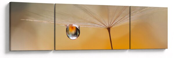 Obraz - Makro květu (170x50 cm)