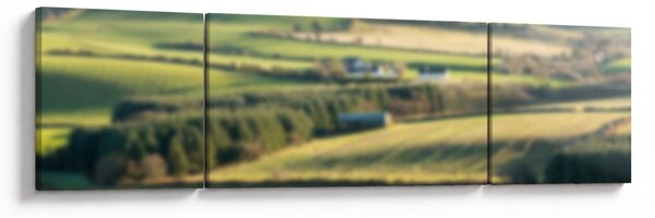 Obraz - Výhled na krajinu (170x50 cm)