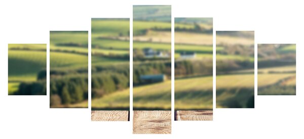 Obraz - Výhled na krajinu (210x100 cm)