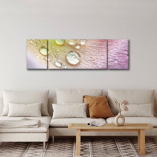 Obraz - Kapičky (170x50 cm)