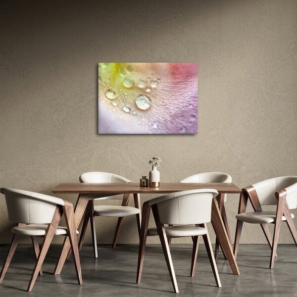 Obraz - Kapičky (70x50 cm)