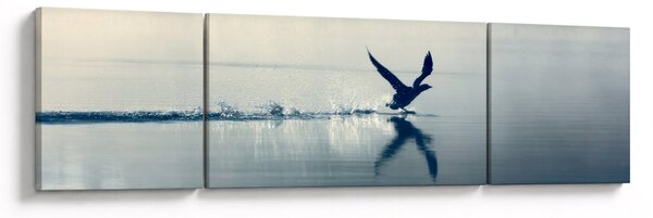 Obraz - Potáplice (170x50 cm)