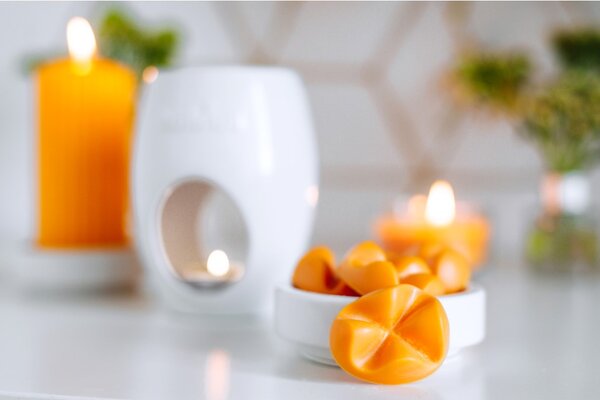 Bolsius Aromatic Creations Vosk 8ks Exotic Mango