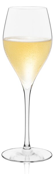 Rona sklenice Champagne 290 ml 6 ks