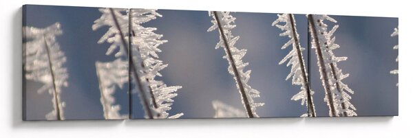 Obraz - Mrazík (170x50 cm)