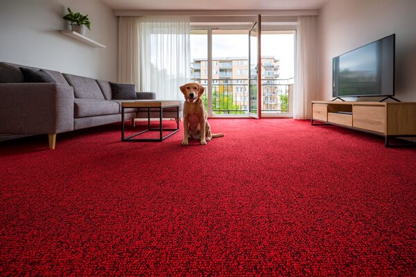 Ideal, Metrážový koberec Efekt 5180, na míru, šíře 5m, červená, filc, chodba / předsíň