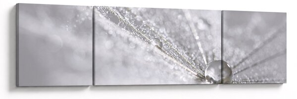 Obraz - Kapka vody (170x50 cm)