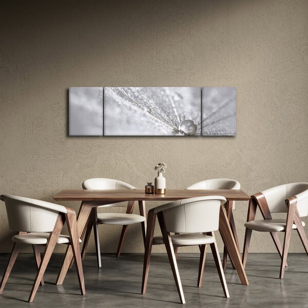 Obraz - Kapka vody (170x50 cm)
