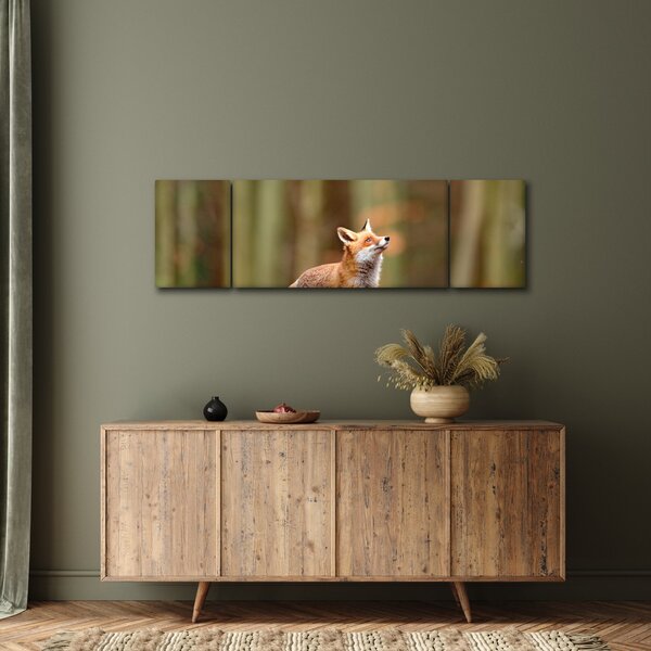 Obraz - Liška (170x50 cm)