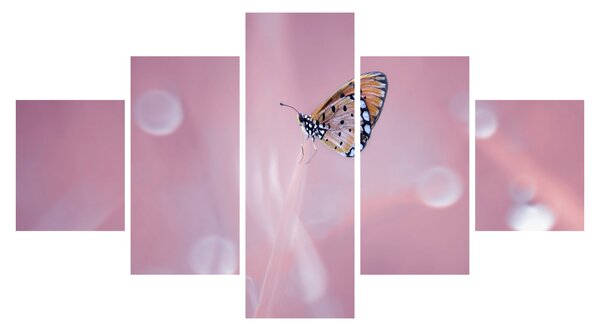 Obraz - Motýlek (125x70 cm)