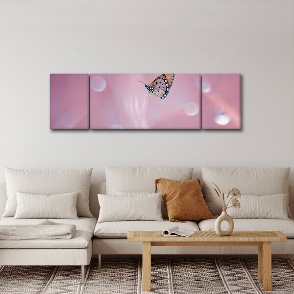 Obraz - Motýlek (170x50 cm)