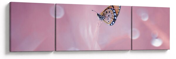 Obraz - Motýlek (170x50 cm)